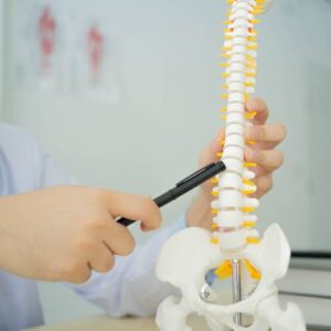 Chiropractic for Lower Back Pain